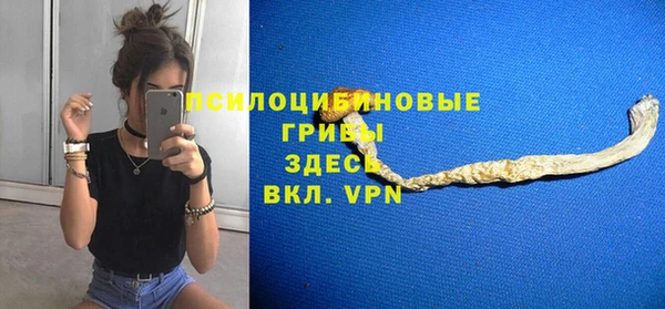 прущие крисы Белокуриха