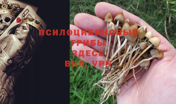 прущие крисы Белокуриха