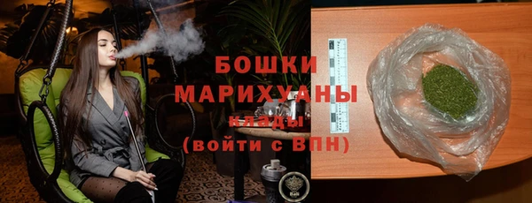 дживик Богородск