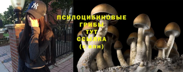 гашишное масло Няндома